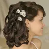 Beating the odds to get back bouncy by a best Hair Spa in Greater Noida 