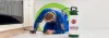 Call for the Right pest control Blacktown to Get the Right solve 