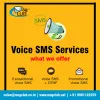 What is the Importance of Bulk Voice Call Services? - Face Article: Submit Your Original Content
