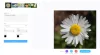 How To Bulk Watermark Images For Free - Watermarks Pro
