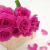 Send Birthday Gifts to Canada Online | Send Unique Gifts | brezzegifts