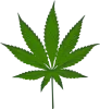 buy medical cannabis wax uk, buy synthetic weed online cheap, buy real weed online uk, buy cannabis wax online uk, weed wax for sale uk, buy real weed online cheap, buy bud online uk