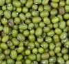 Buy Green Mung Beans Online Affordable Cost