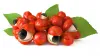Buy Healthy Nutrition