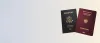 buy novelty documents