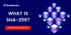 What is SHA- 256? | Secure Hash Algorithm | Bitcoin Hash Algorithm | Developcoins
