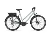 Gazelle Ultimate T10