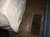 Best Pest Control |bedbug Extermination |Mice Extermination Sarnia ON