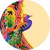 Domains in Pakistan
