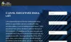 C-level executives email list