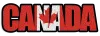 Canada Immigration Specialist in UAE | Nexus Migration