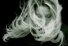 Expert's best remedy to stop seasonal hair loss - Catherinehardwicke