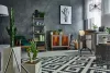 Cactus guidebook: Types, care tips &amp; 15+ decor ideas (Buy now!) | Building and Interiors