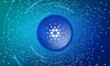 Light Wallet Lace Của Cardano Cập Nhật, Tăng Cường Bảo Mật Và Khả Năng Sử Dụng