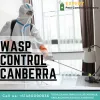 Wasp Control Canberra 