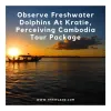 Observe Freshwater Dolphins At Kratie, Perceiving Cambodia Tour Package