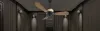Best Ceiling Fans in India | Decorative & Designer Fans