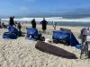 Foldable Wagon