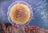 Can Azoospermia be Treated?