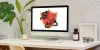 Can Macs Get Viruses - Do Macs Need Antivirus Software?