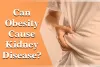Can Obesity Cause Kidney Disease?