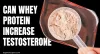 Does Taking Whey Protein Increases Testosterone Levels? 