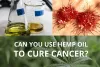 Here’s How Hemp Therapy Can Help In The Treatment For Cancer