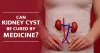 Can kidney cyst be cured by medicine?
