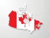 Canadas Provincial Nominee Programs and the Role of Immigration Consultants in Assisting Applicants