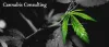 Cannabis Consulting | Hydroponic Consulting