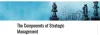 Most Important Components of Strategic Management | Talentedge