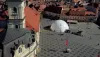 Find 360 Degree Fulldome Projections &amp; Domos Geodésicos! Archives - NewMedia