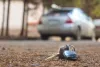 Why should you contact expert auto locksmiths in North London?