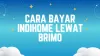 Cara Bayar IndiHome Lewat BRImo, Yang Benar Tuh Begini..