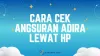 Cara Cek Angsuran Adira Lewat HP, Ternyata Begini