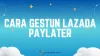 2 Cara Gestun Lazada PayLater Sendiri