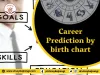 Career Prediction by birth chart