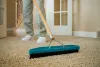 Importance of professional carpet cleaning services