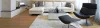 Service Provided By Professional Carpet Cleaner