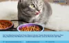 Cat Food Project Report 2021: Plant Setup, Manufacturing Process, Business Plan, Industry Trends, Machinery Requirements, Raw Materials, Cost and Revenue 2026 – The Market Gossip