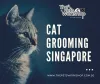 Thepetsworkshop (thepetsworkshop) — ImgBB