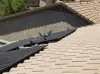 Solar protection,Solar screening,pigeon cleaning service and Bird Control phoenix Scottsdale AZ Professional Pigeon Control