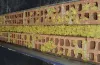 Cavity Wall Insulation Adelaide
