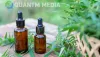 SEO For CBD Companies