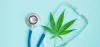 Cannabidiol(CBD) and Human Brain
