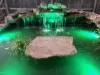 Color Changing LED's for pond fountains