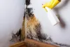 cách tẩy mốc trên tường sơn| cách xử lý hầm bị ẩm mốc hiệu quả