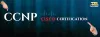 Best IT Training Center In Noida : Best CCNA Training In Noida-CCNA/CCNP Training Institute in Noida @ Training Basket 