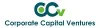 SEBI Consultancy & Advisory services in India | CCVINDIA