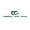 Corperate capital  venture services